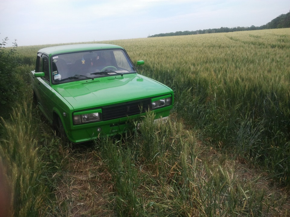 трохи фоток 3