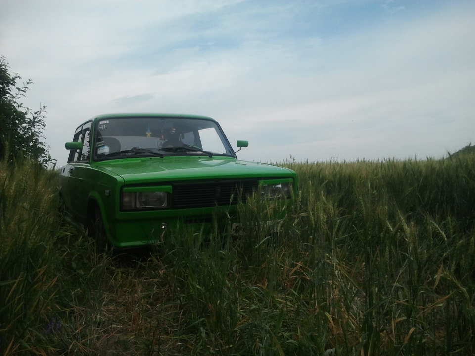 трохи фоток 1