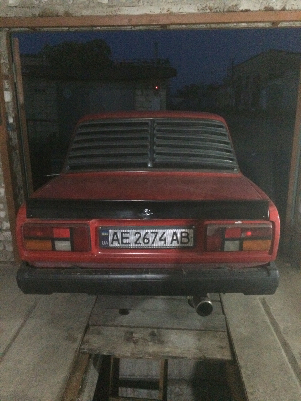 Качиний хвіст 1