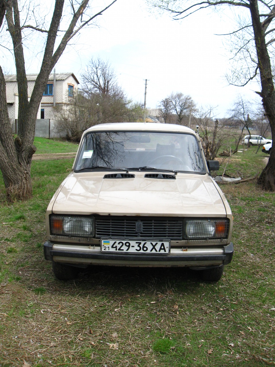 Перший фотосет 3