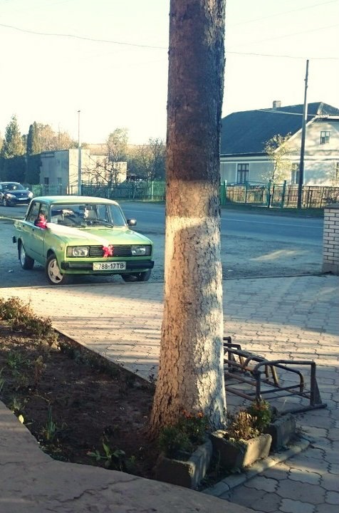 ох вже це весілля) 1