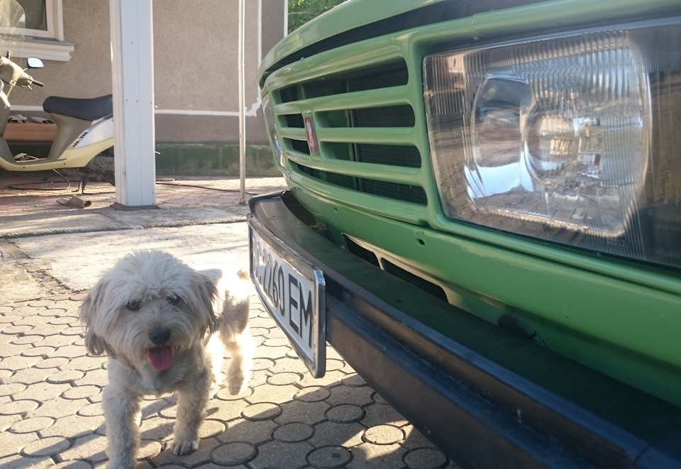 Решітка радіатора LADA RIVA 5