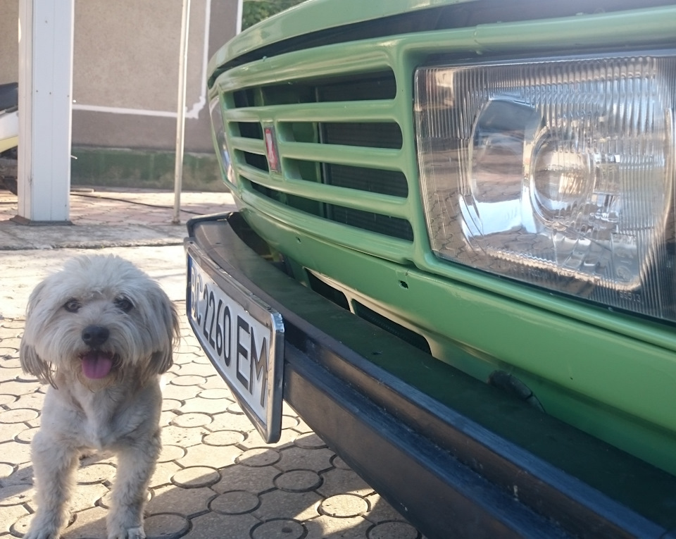 Решітка радіатора LADA RIVA 3