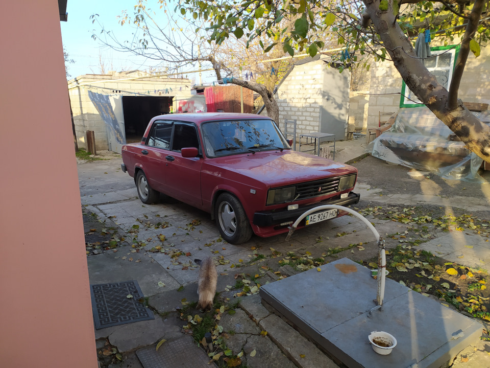 Перевзувся в зиму. І помився))) 1