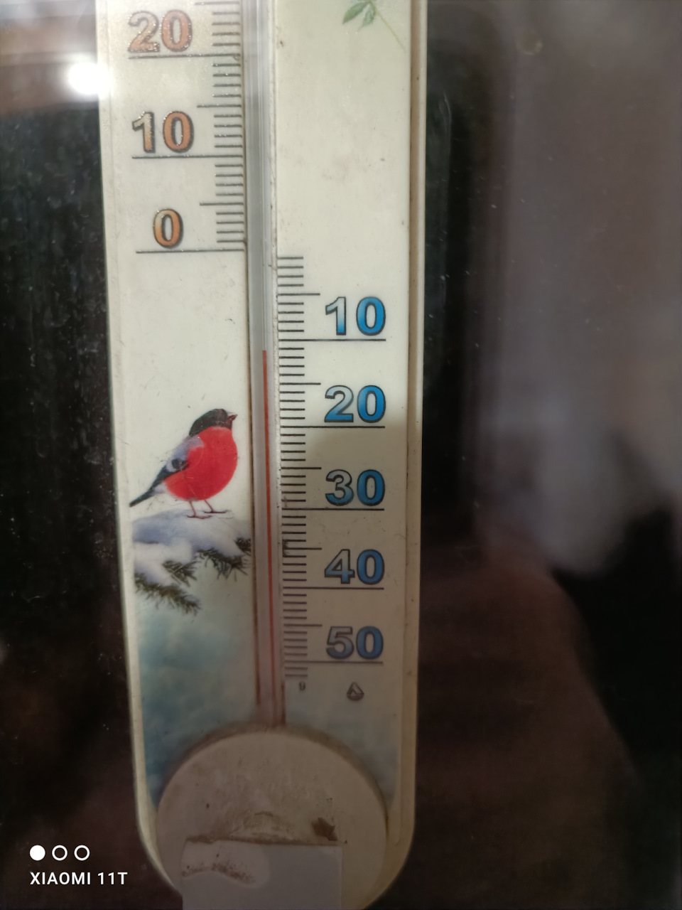 Раптом зима. Підсумки 2021. Враження. Плани. 5