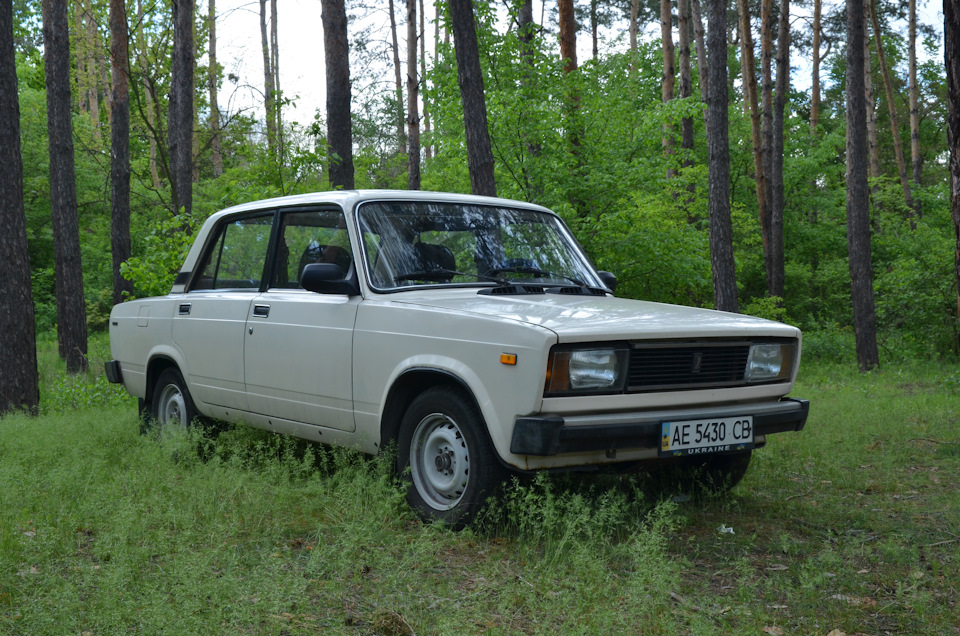 Лісова фея. 3