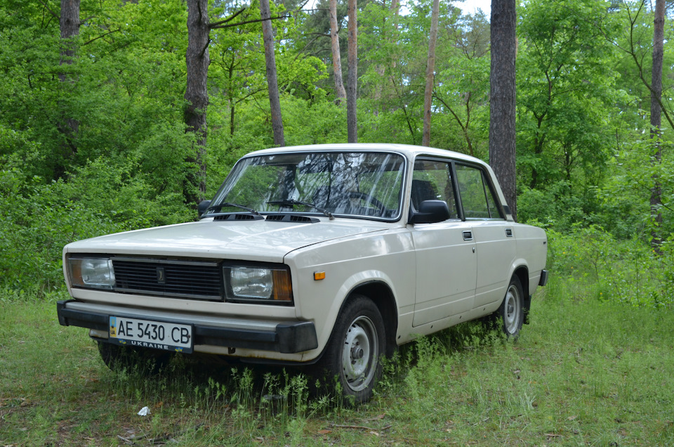 Лісова фея. 1