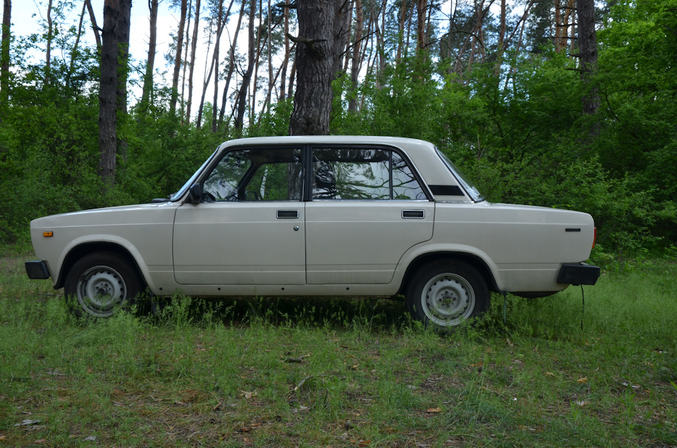 Лісова фея. 4