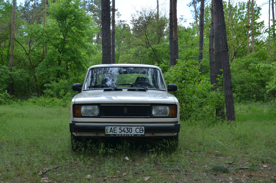Лісова фея. 2