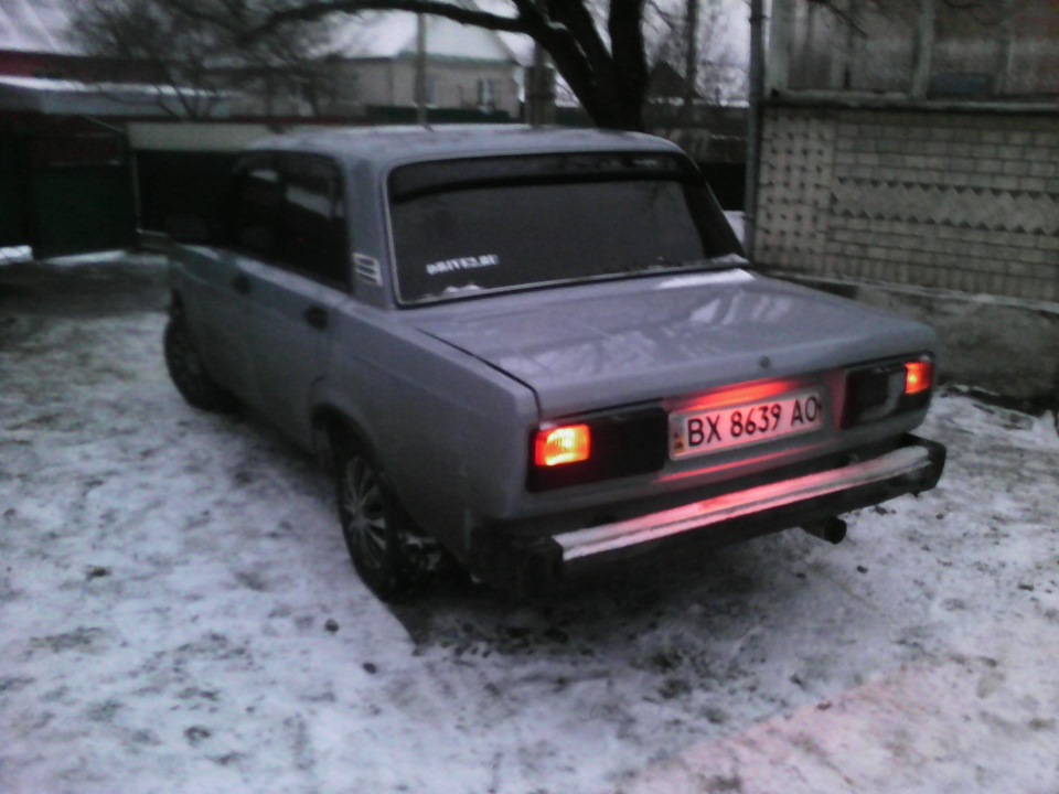 Мийка перед зустріччю 27.12.2014) 1