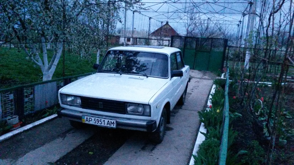 Чутка свежих фото 3