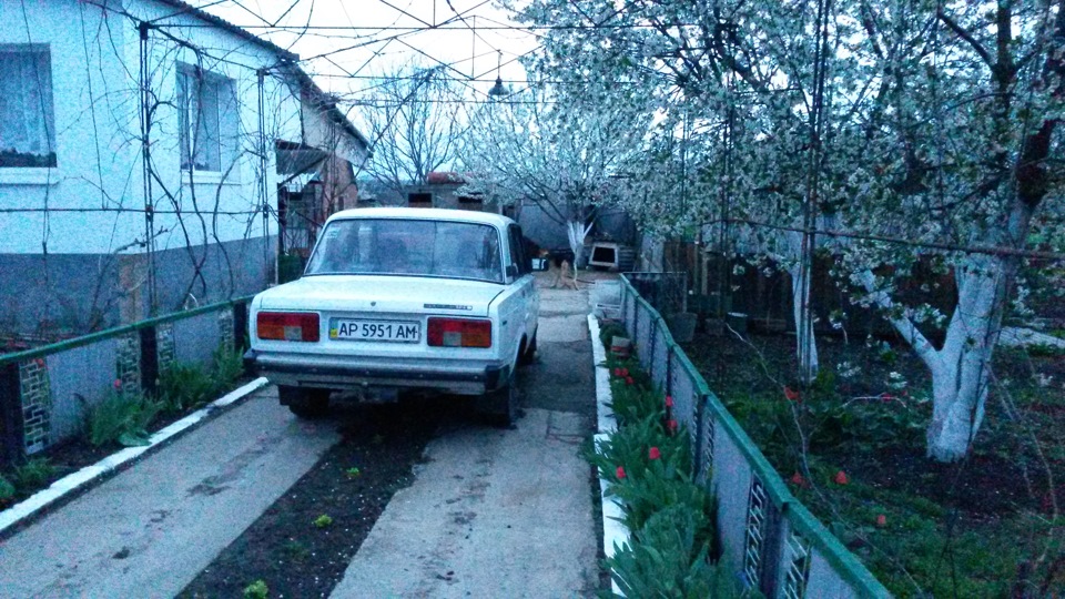 Чутка свежих фото 5