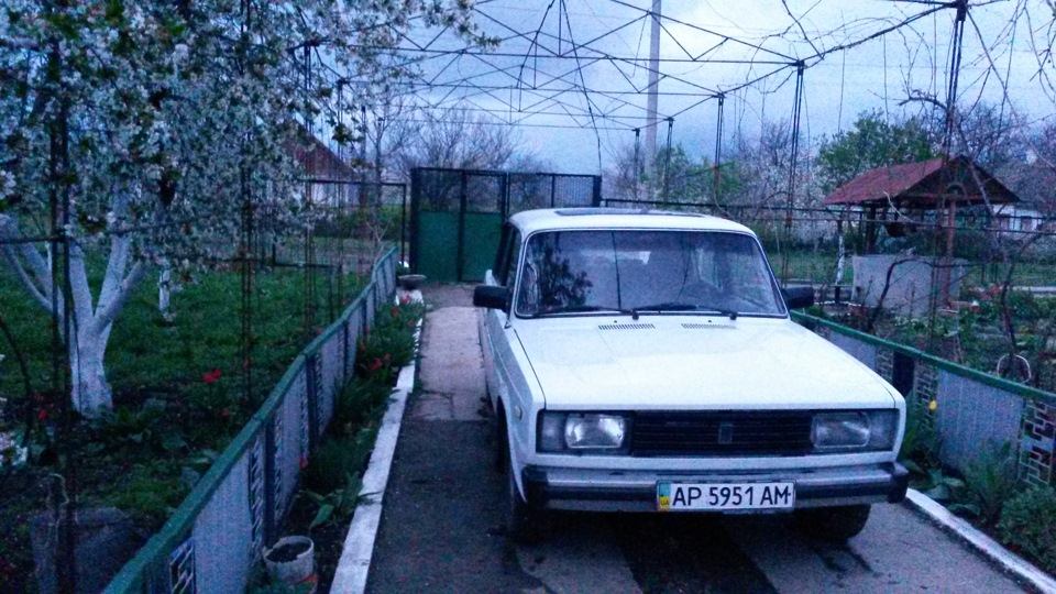 Чутка свежих фото 4