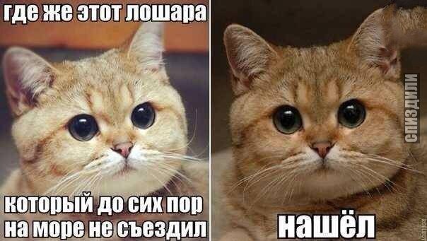 Проїхалися біля моря!))) 3