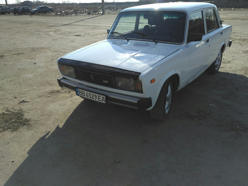 Лайба у світлі) 5