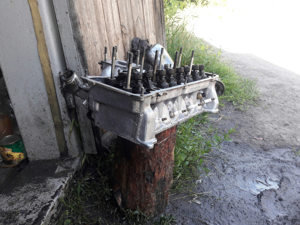 відмив голову 2