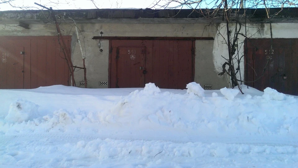 Зимова сплячка