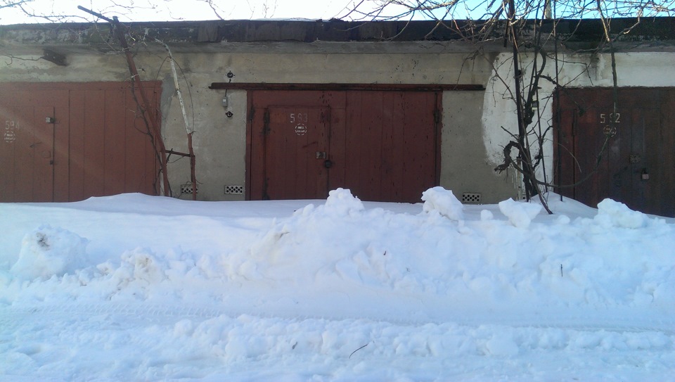 Зимова сплячка 1