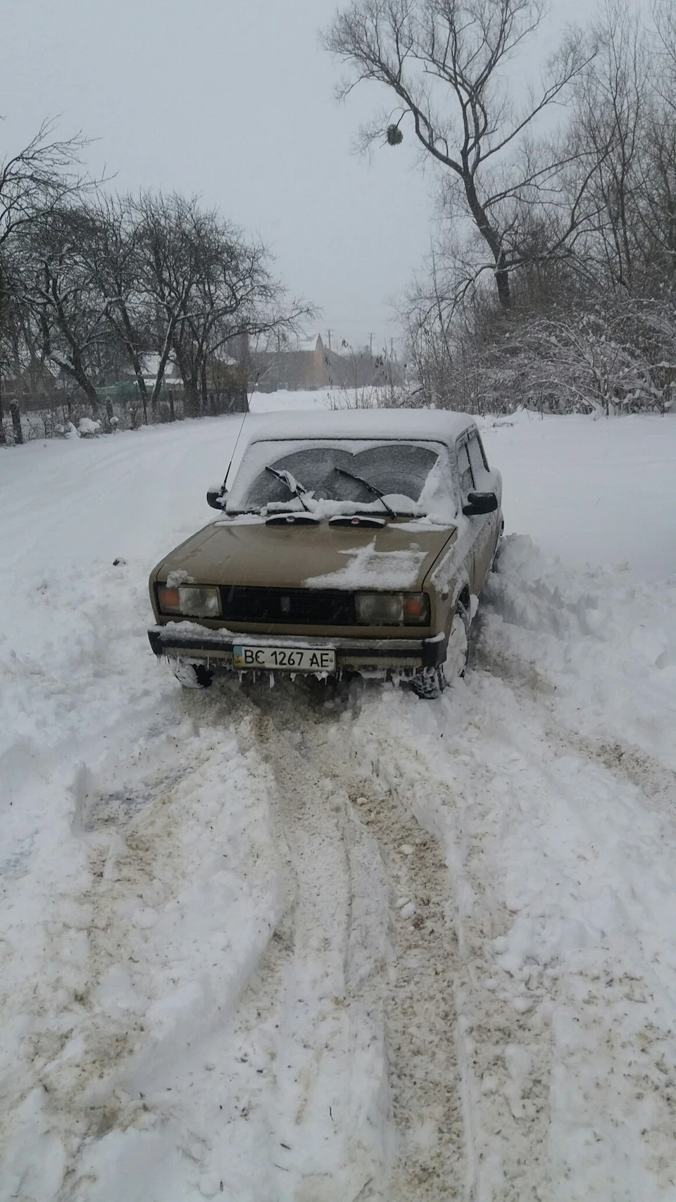 Зима 2019