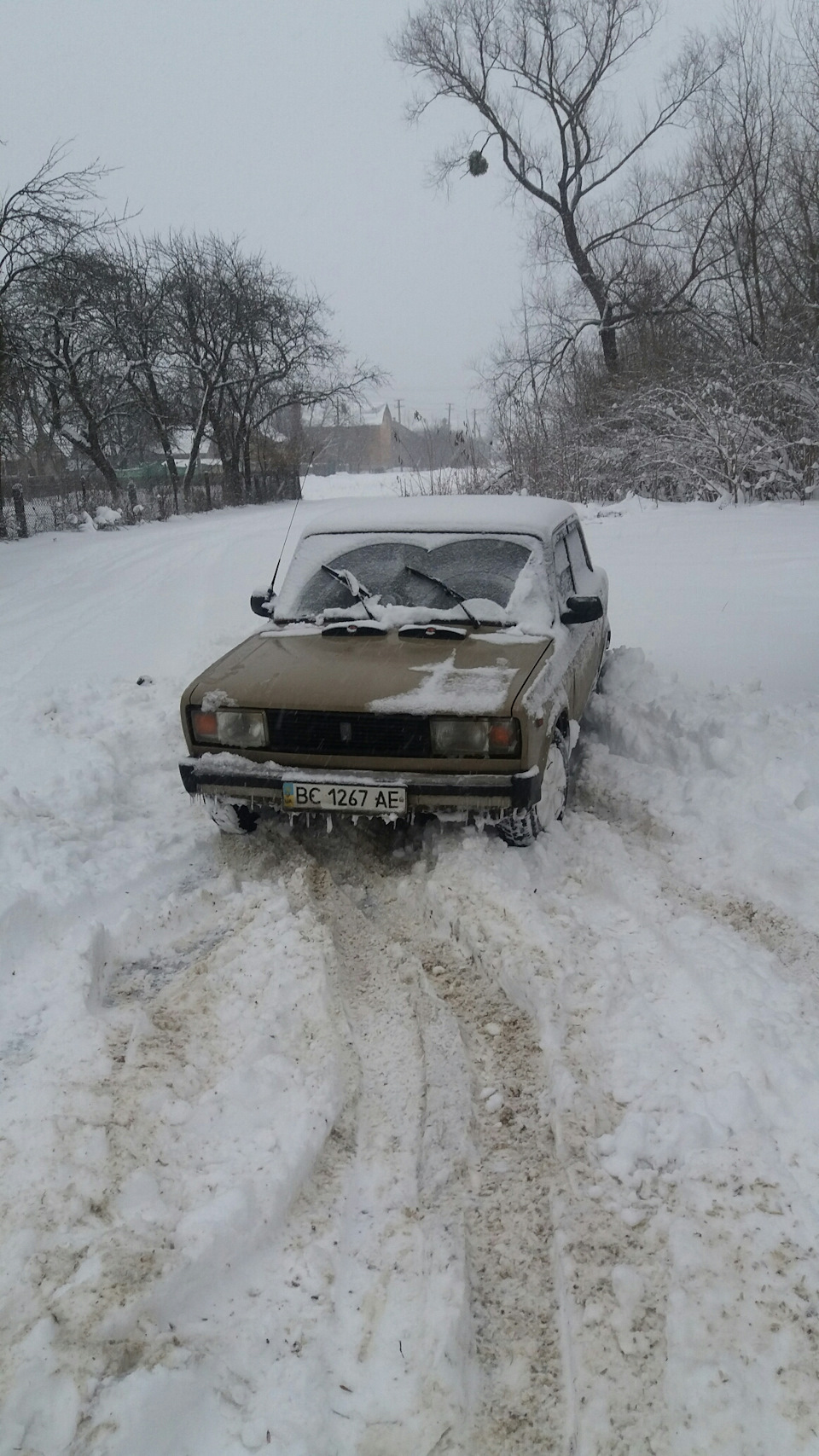 Зима 2019 1