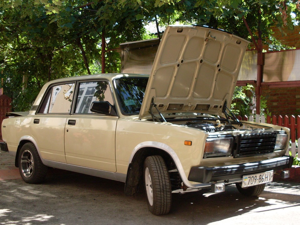 Нещодавні фотки 4