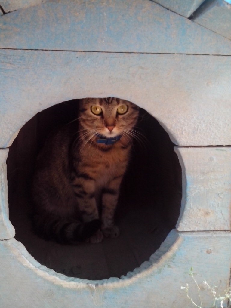 Перший виїзд з двору) 5