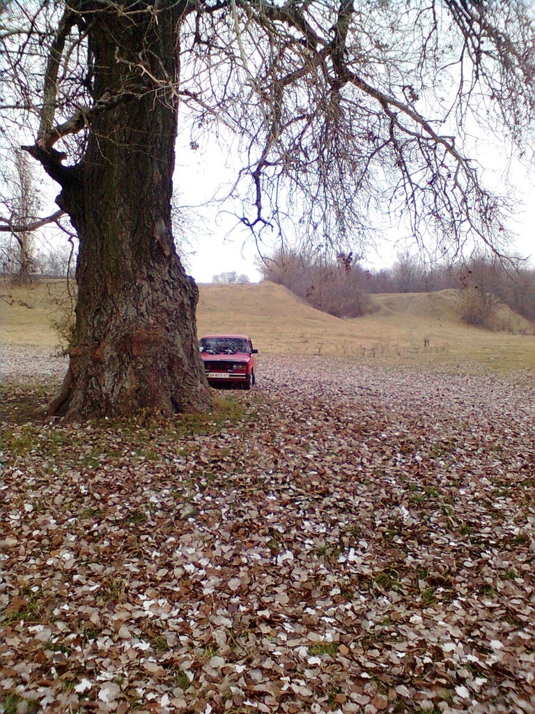 Восени 3