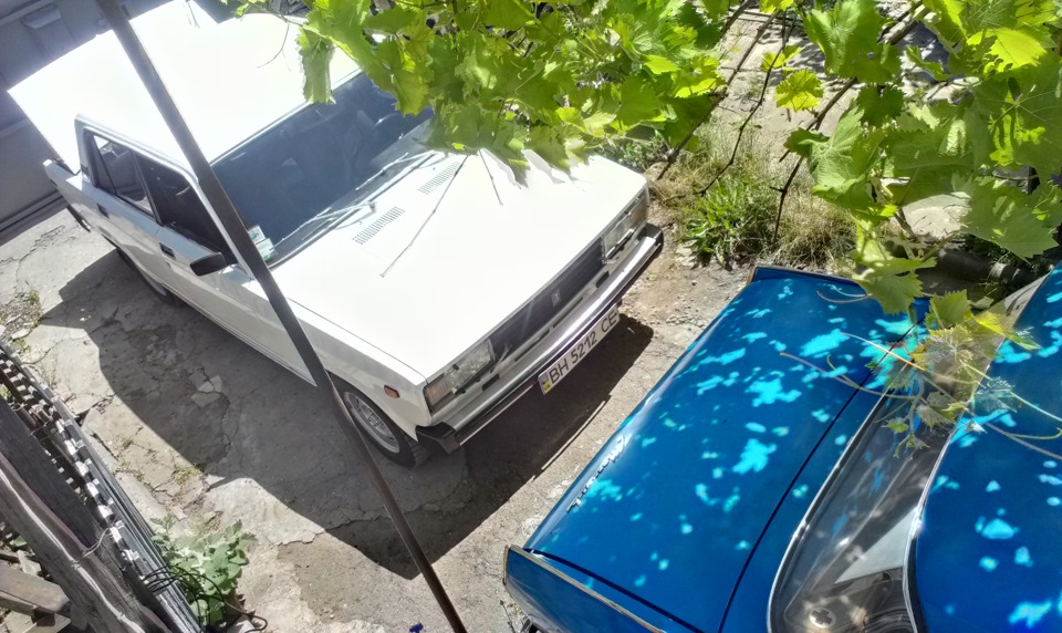 Трохи новин 1
