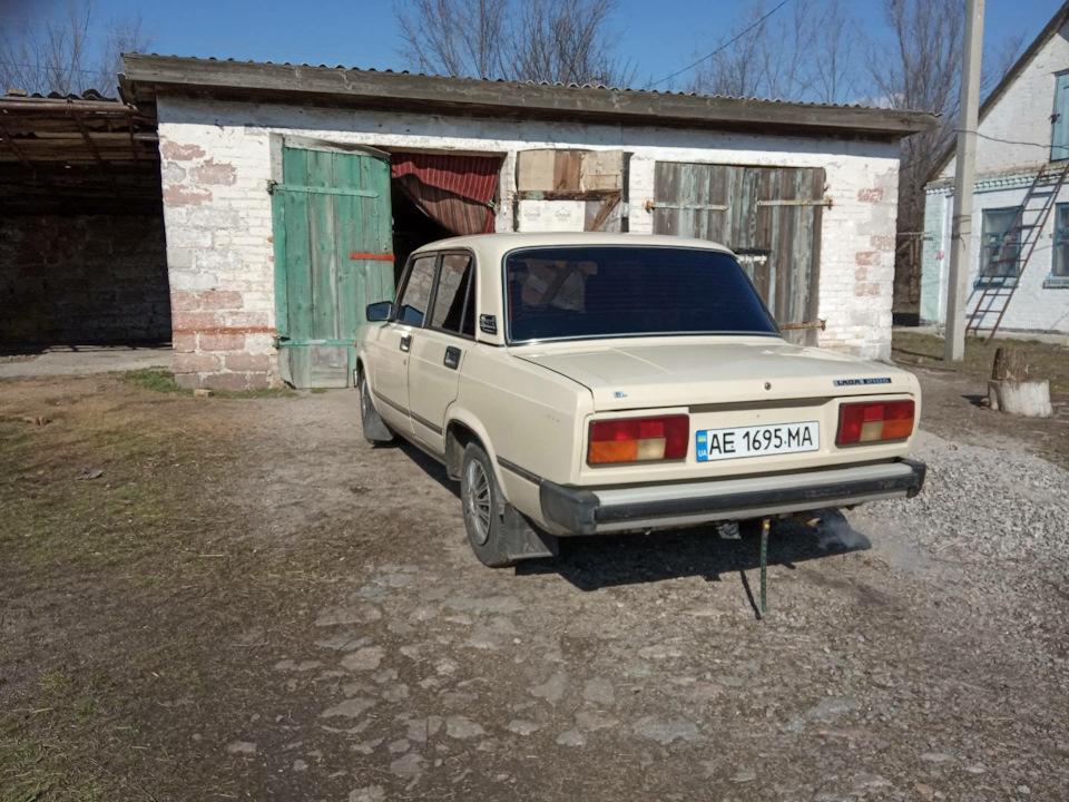 Набрид акваріум) 2
