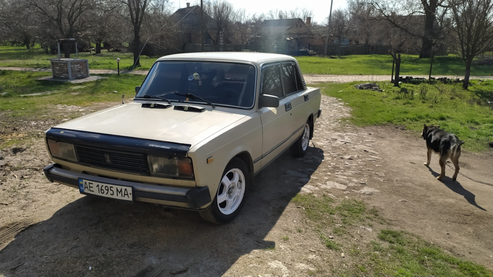 Продаль 1
