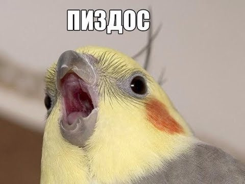 Порізав усі арки + проставки 25мм 3