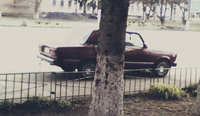 • Фото Вишеньки • 1