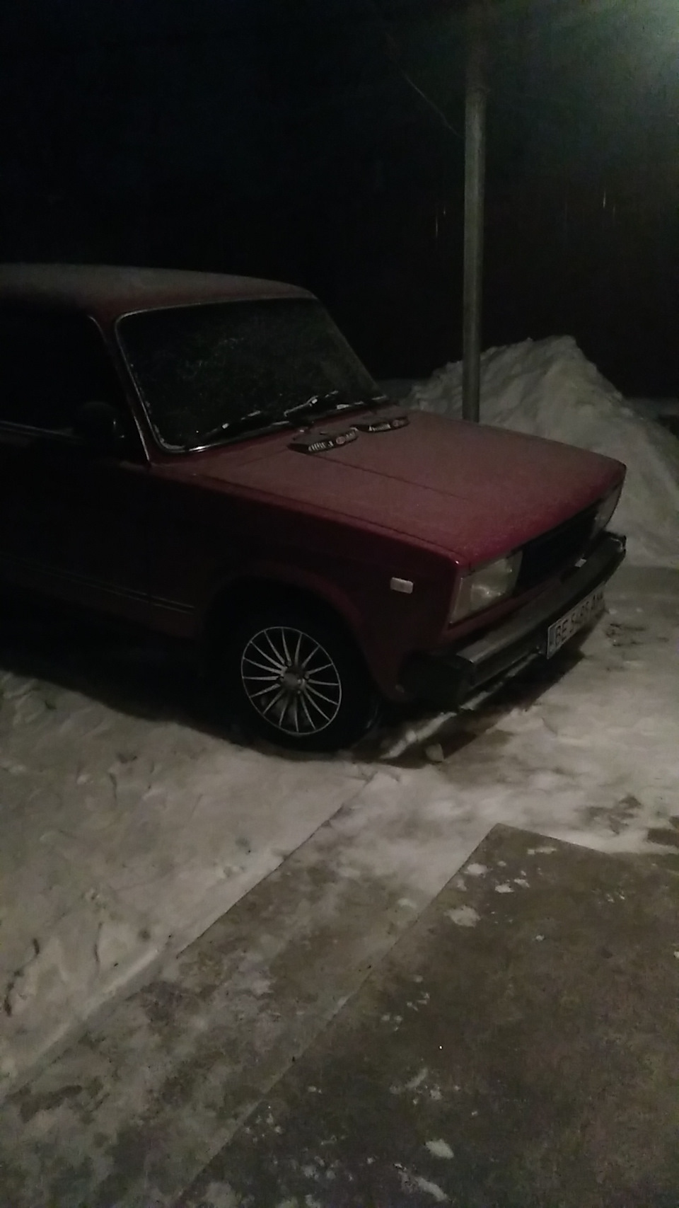 Вишенька (Зимує) 3
