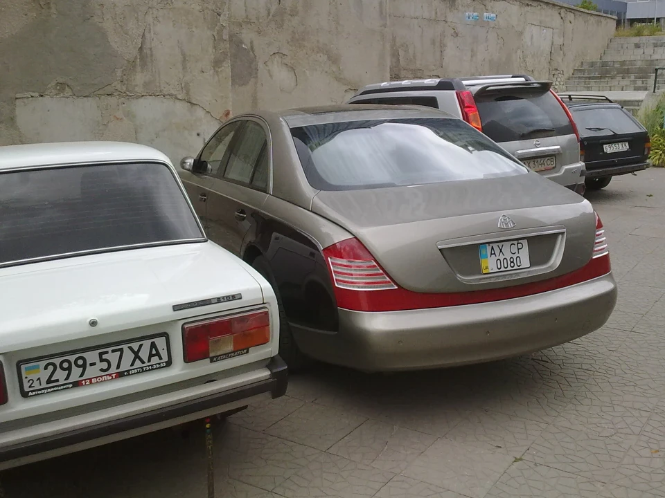 Несподіваний сусід по стоянці)