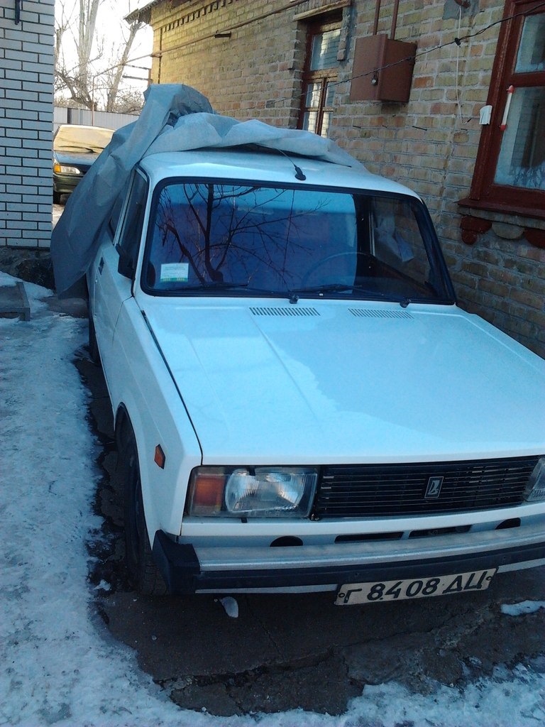 Зимуем. 1