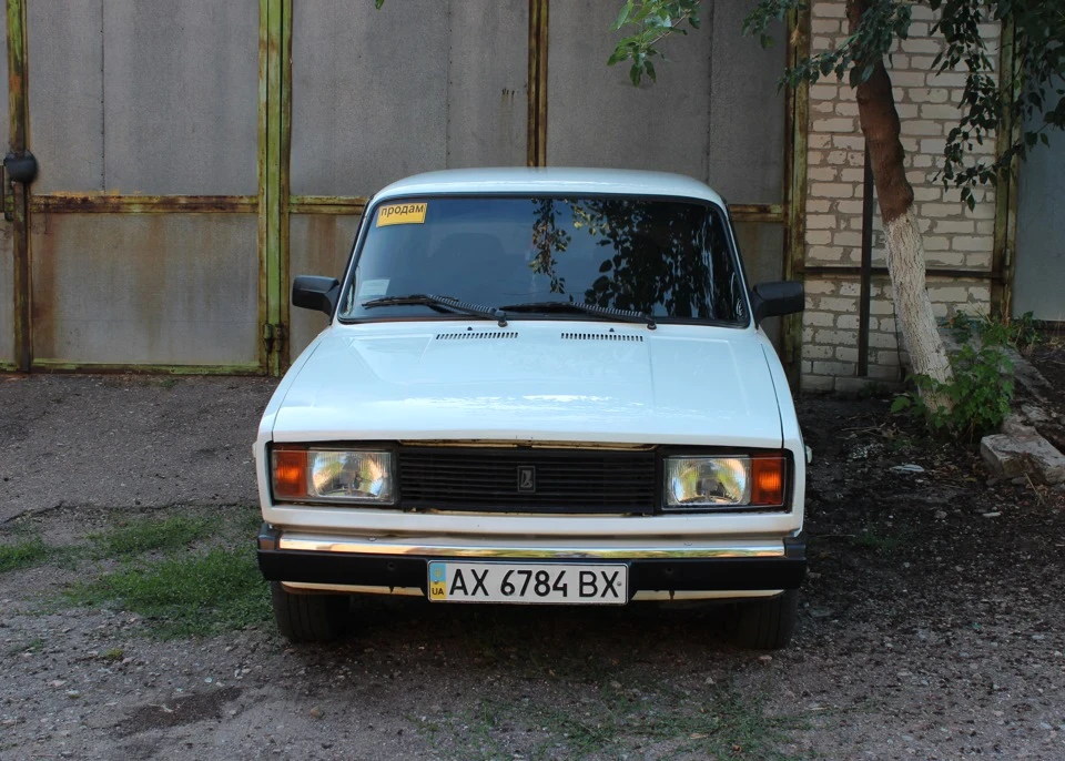 Вії і мухобійка
