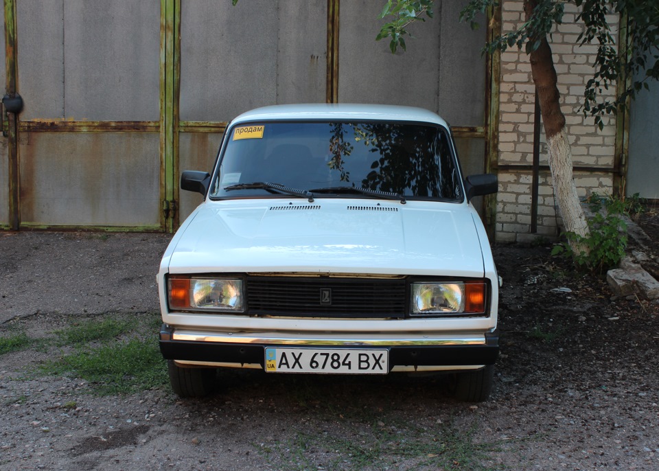 Вії і мухобійка 1
