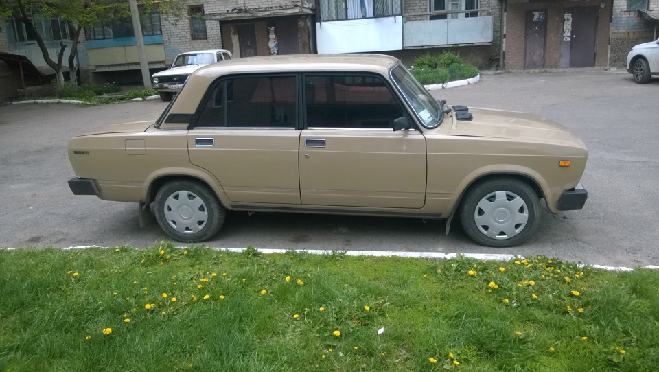 Перший погляд! 1