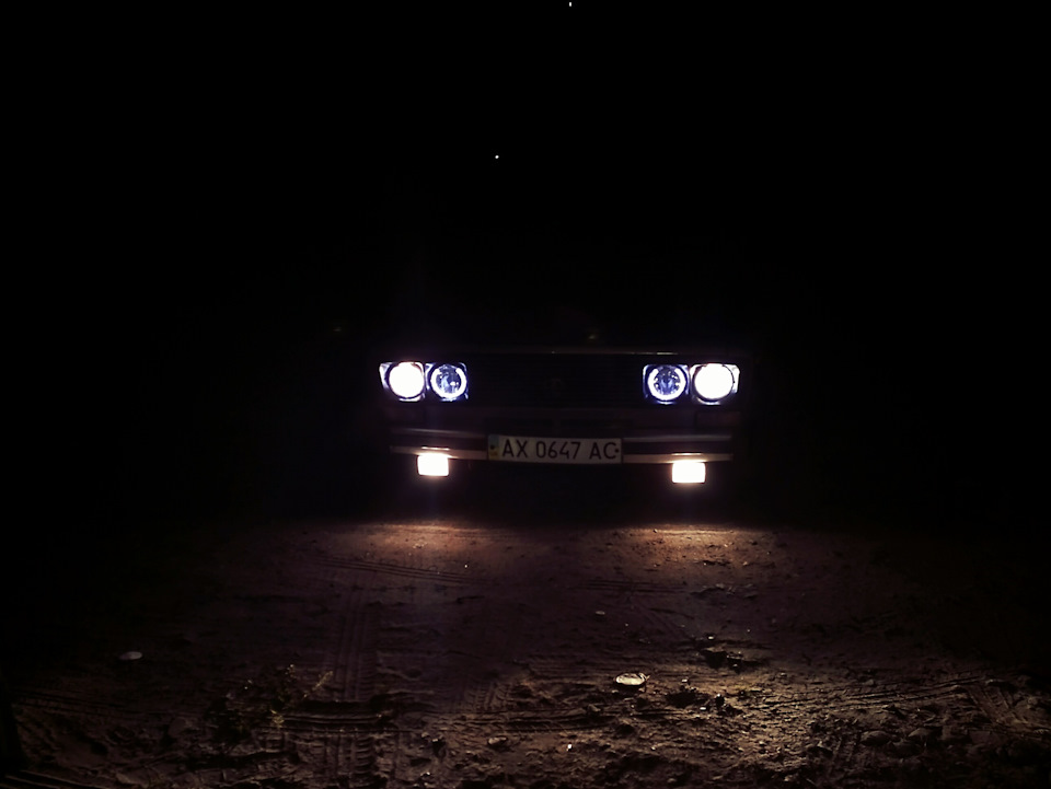 Чекає свого часу. 3