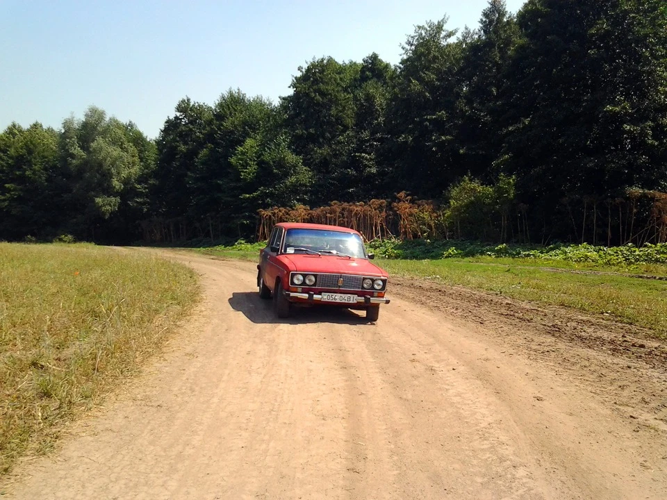 Трохи фото))