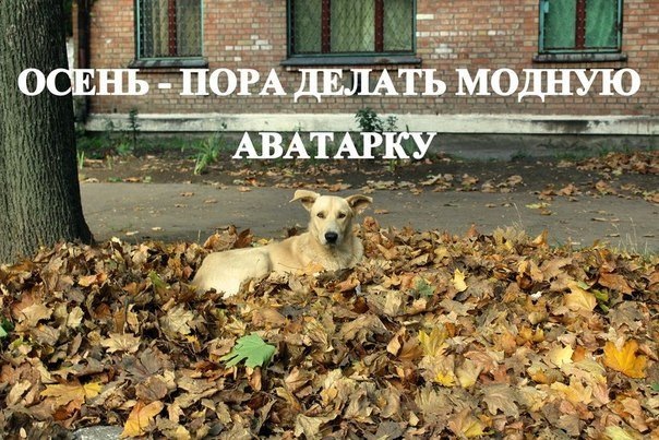 Трохи фото і коротко про все…=) 4