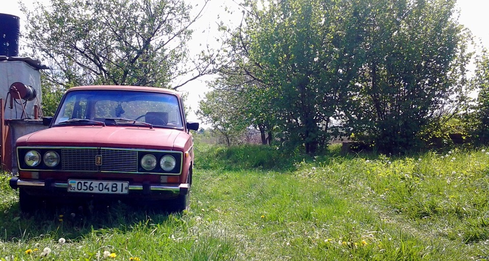 Парочка фото)) 1