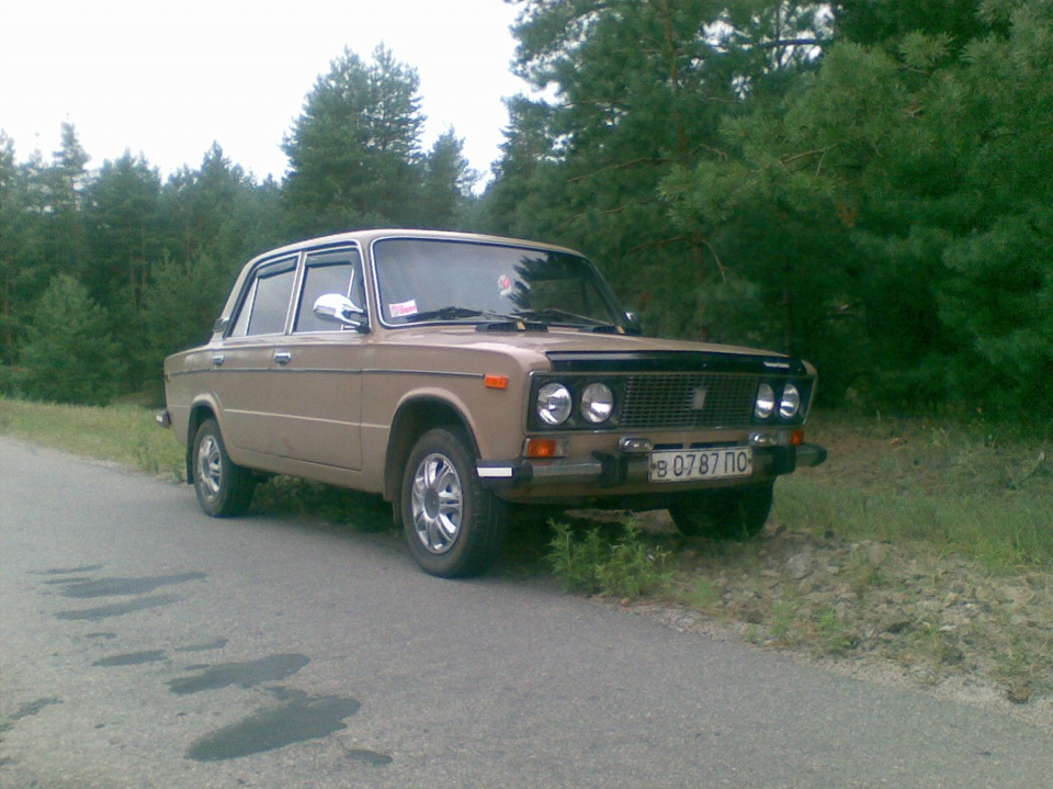 В лесу! 3