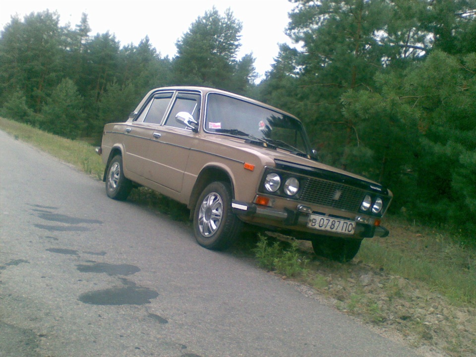 В лесу! 4