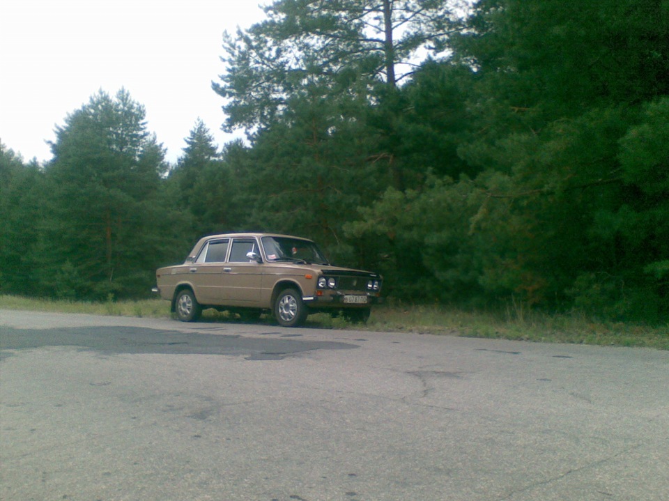 В лесу! 2