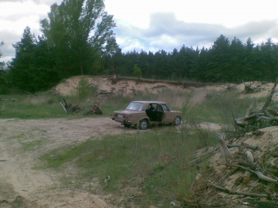 В лесу! 5