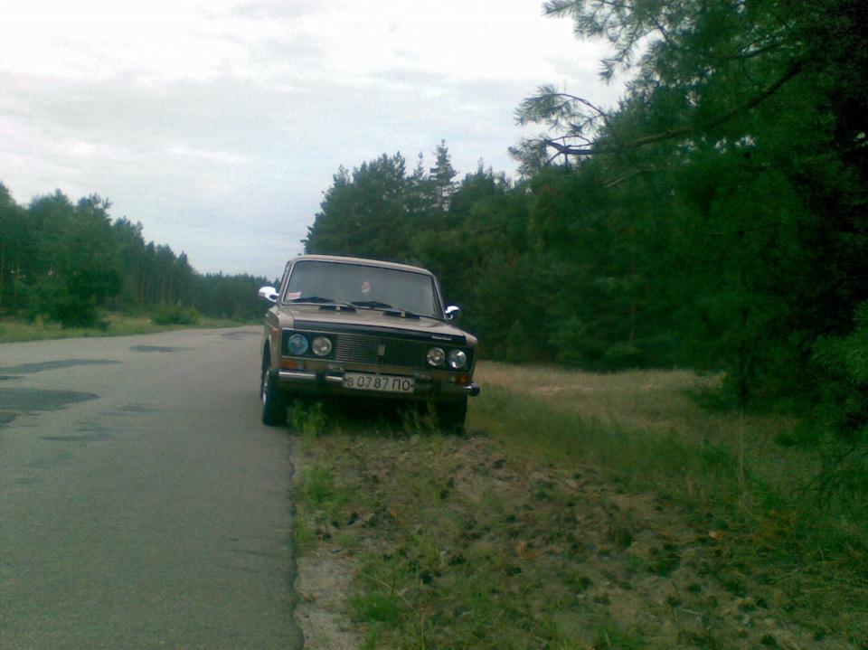 В лесу! 1