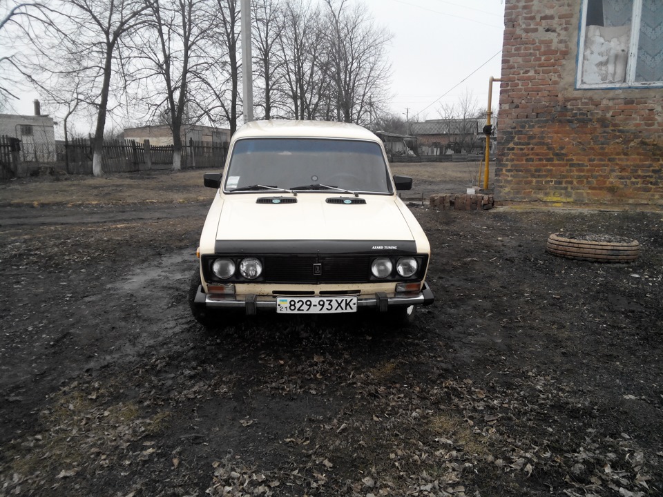 Нові фотки 1