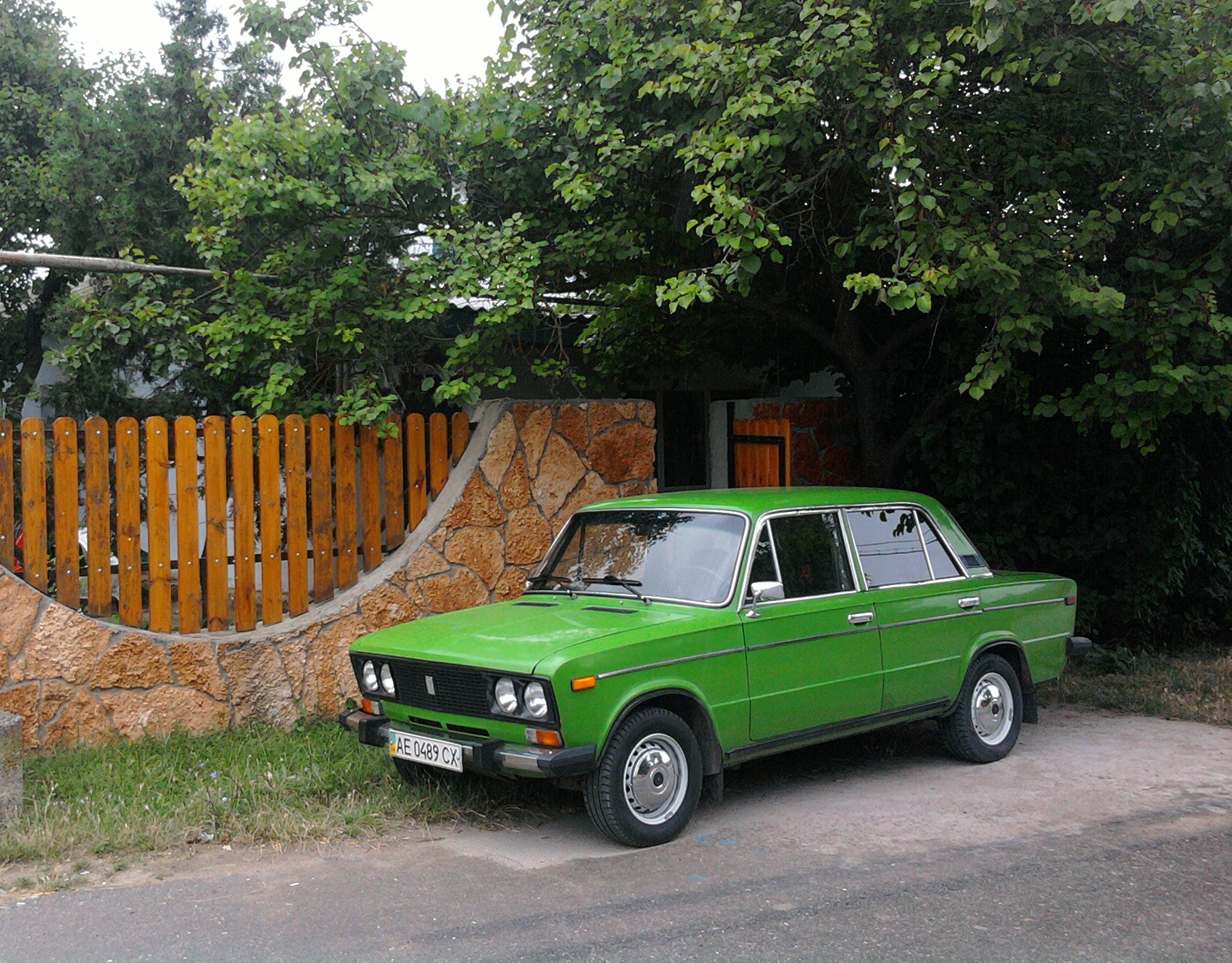 Фото (Лето) 3