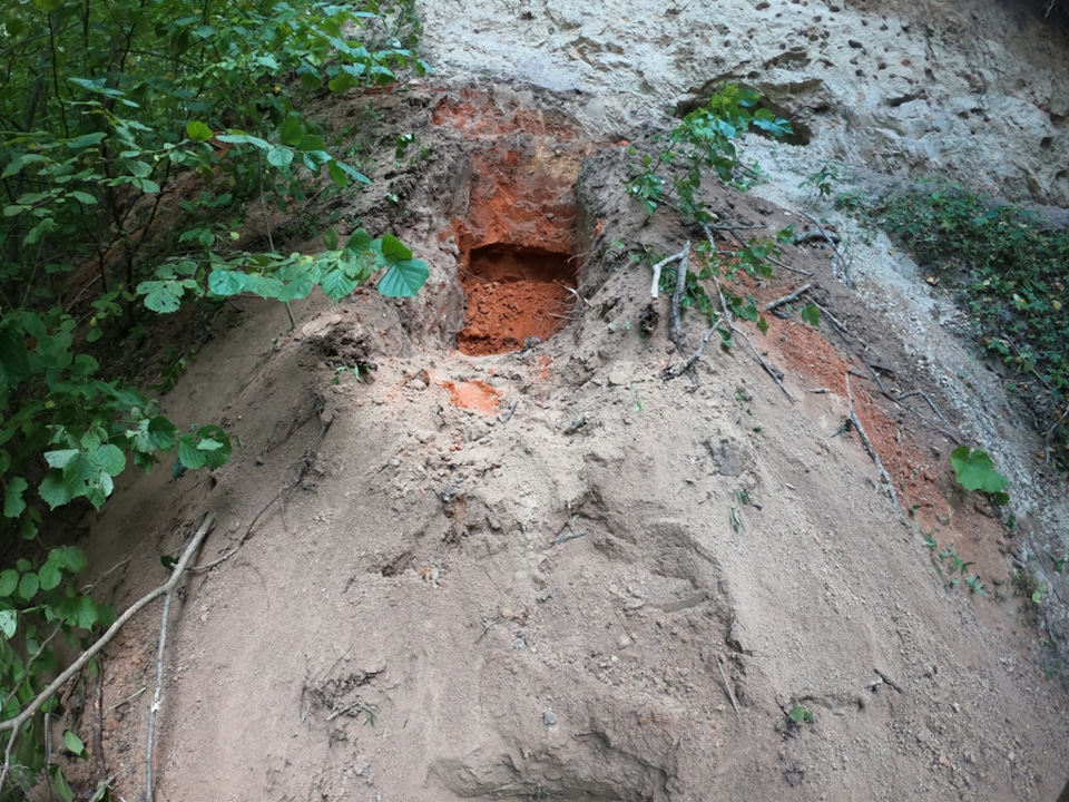 Зганяв у ліс, пошукати старий піщаний кар'єр 1